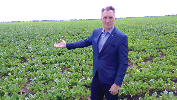 Биће довољно српског шећера